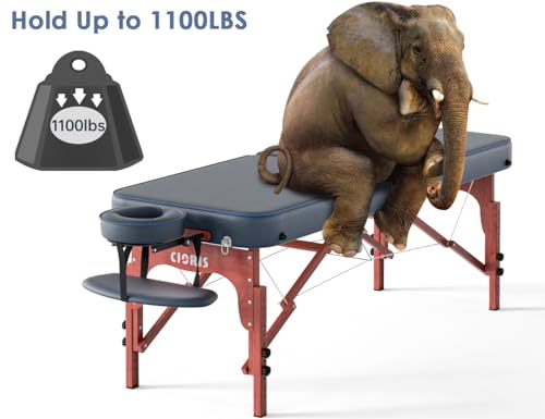 CLORIS 84" Professional Massage Table Portable 2 Folding Lightweight Facial Solon Spa Tattoo Bed Height Adjustable with Carrying Bag & Aluminium Leg
