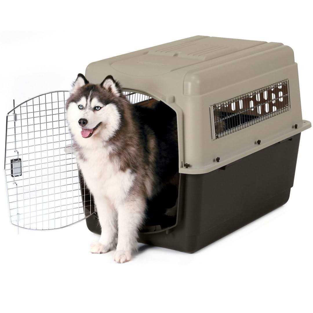 Petmate Ultra Vari Kennel - Pet Supplies online store