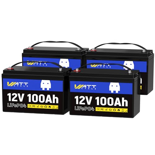 12V 314Ah Mini LiFePO4 Lithium Battery with Bluetooth 5.0, 200A BMS, 4.01kWh Energy, Upgraded Aluminum Cooling Fins & Braided Copper Wires, for RV