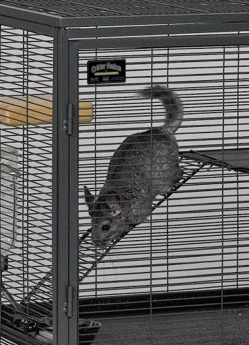 Midwest Deluxe Critter Nation Double Unit Small Animal Cage (Model 162) Includes