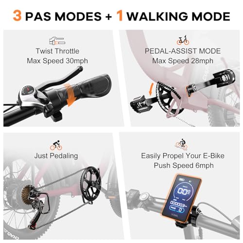1000W Folding Electric Bike,48V 20AH Removable Battery E Bike,30+MPH,80 Miles Max Range Electric Bike for Adults,20" Fat Tire Foldable ebike