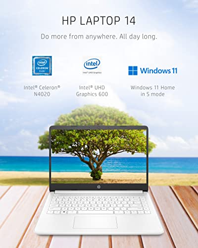 HP 14 Laptop, Intel Celeron N4020, 4 GB RAM, 64 GB Storage, 14-inch Micro-edge HD Display, Windows 11 Home, Thin & Portable, 4K Graphics