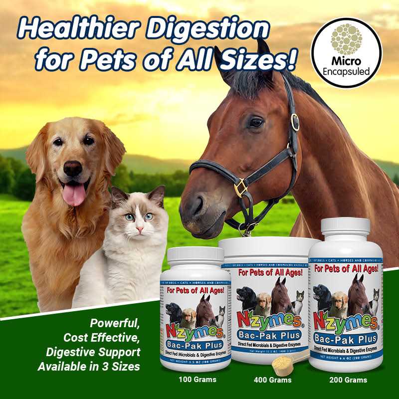 Nzymes Bac-Pak Plus 400gm for Pets - Pet Supplies online store