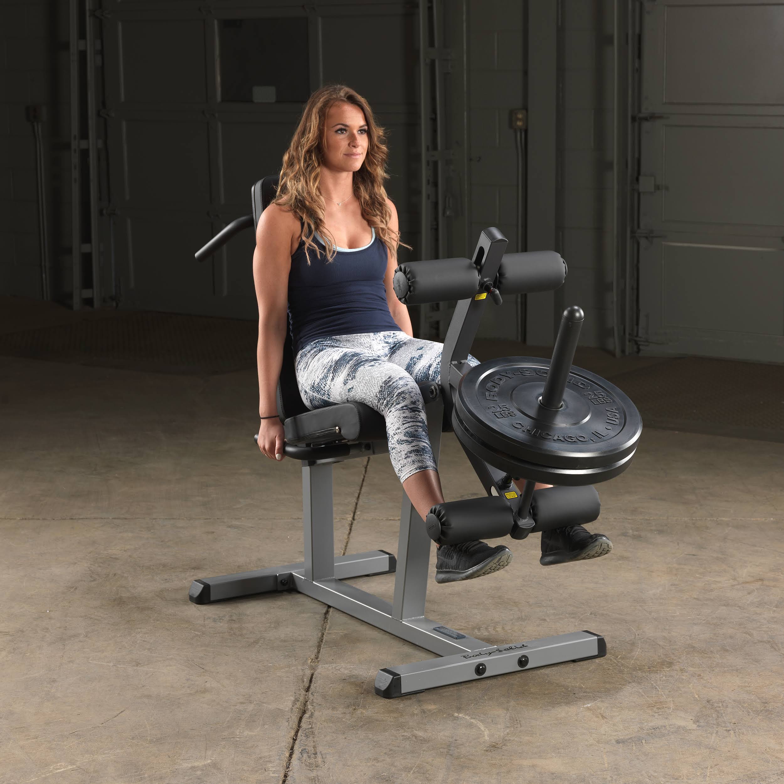 Body Solid Glce365 Seated Leg Extension u0026 Supine Curl