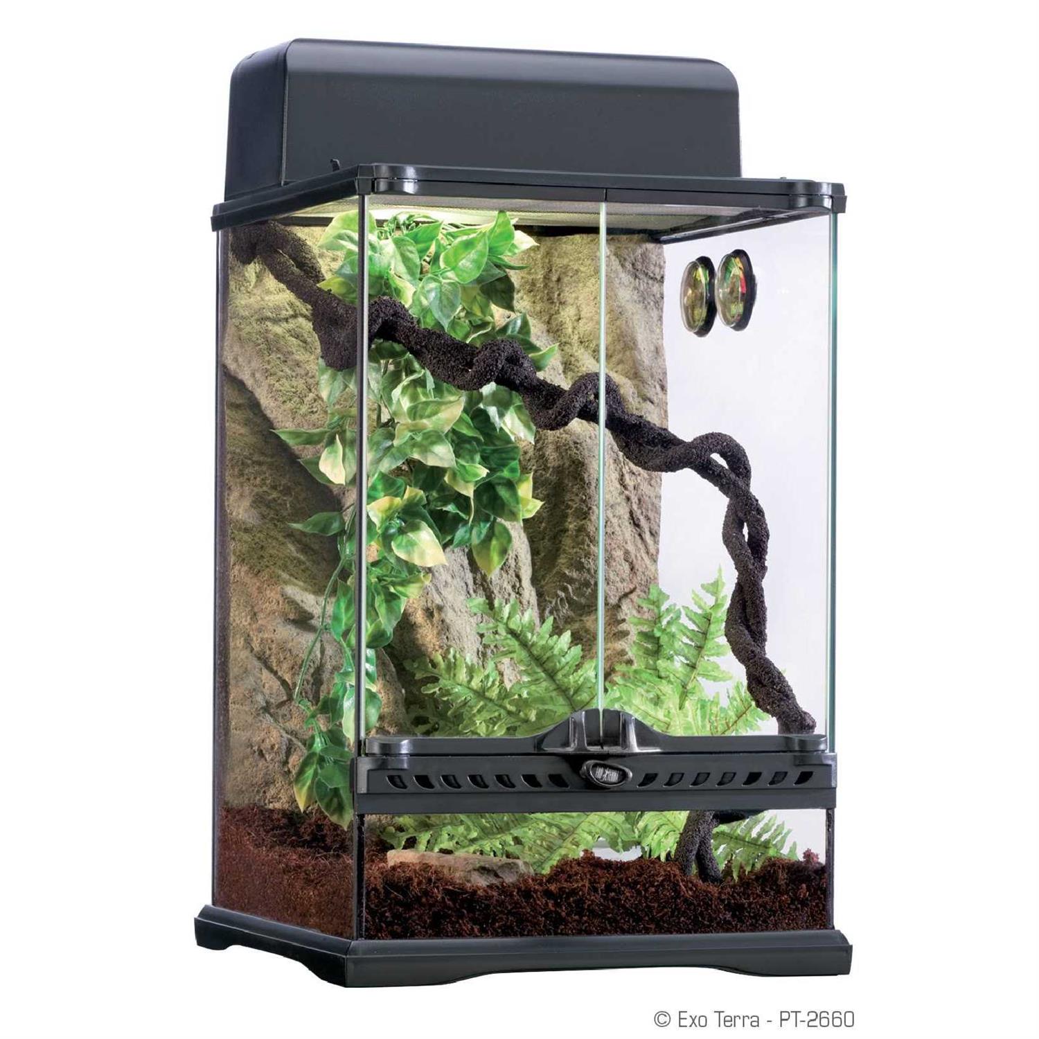 Exo Terra Rainforest Habitat Kit - Pet Supplies online store