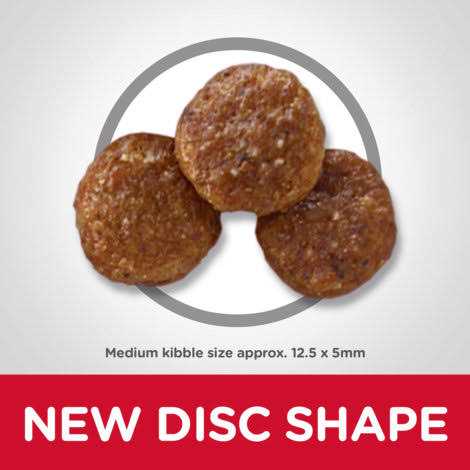 Hill's Science Diet Adult Chicken &amp; Barley Recipe Dry Dog Food - Pet Supplies online store