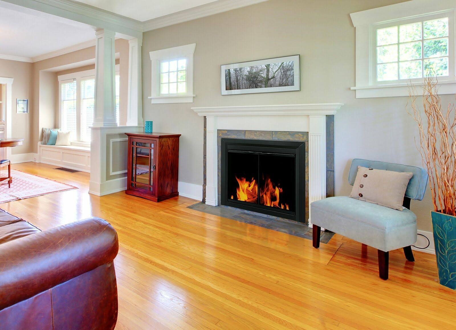 Pleasant Hearth Carlisle Medium Black Cabinet Style Glass Fireplace Doors