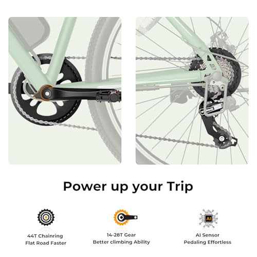 Jasion EB5 Electric Bike for Adults with Peak 500W Brushless Motor, 40Miles 20MPH Commuting Electric Mountain Bike with 360Wh Removable Battery
