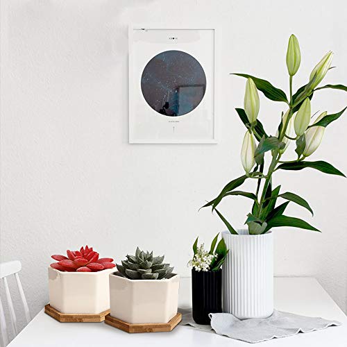 OAMCEG 6 Pack 4 Inch Succulent Pots - Small Succulent Planters