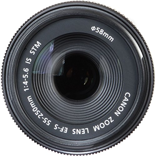 Canon 55-250mm STM