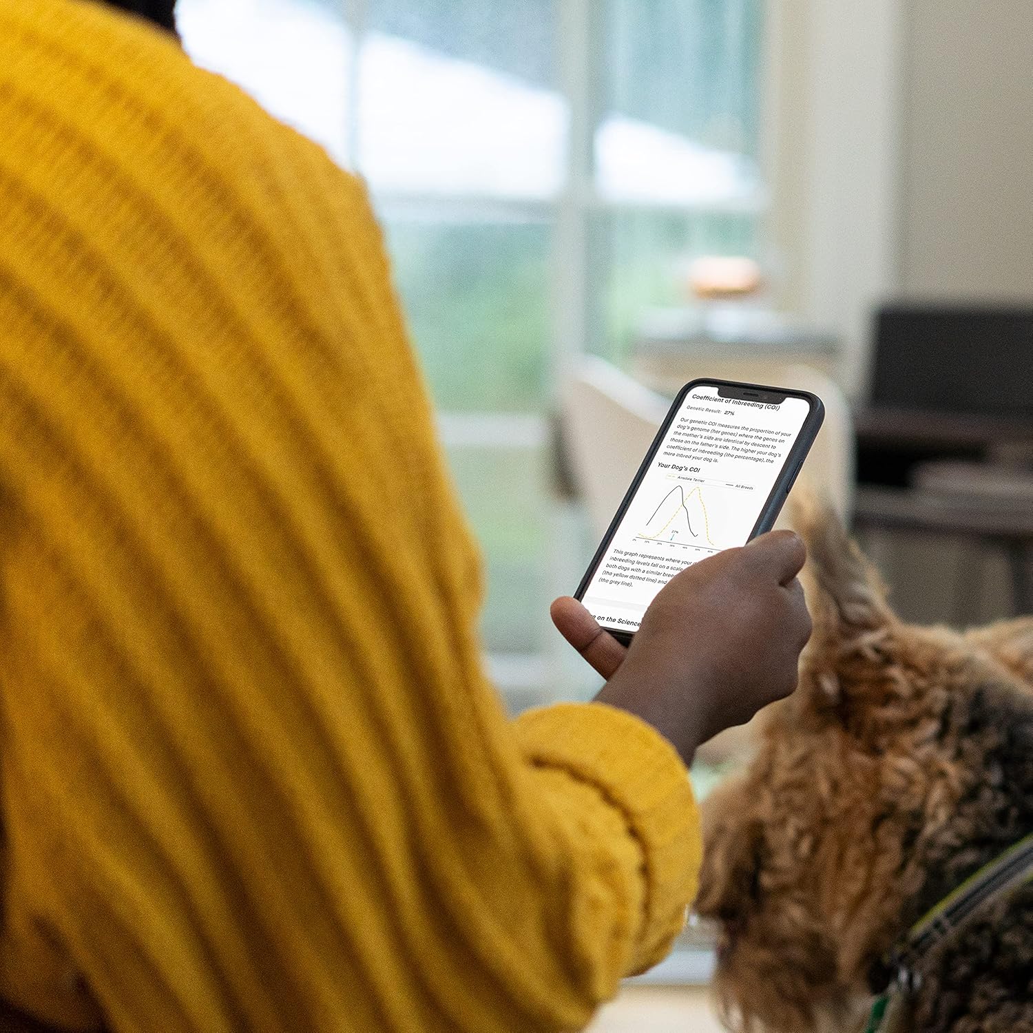Embark | Dog DNA Test for Purebred Pets | Canine Genetic Health Screening & Genetic Diversity Score