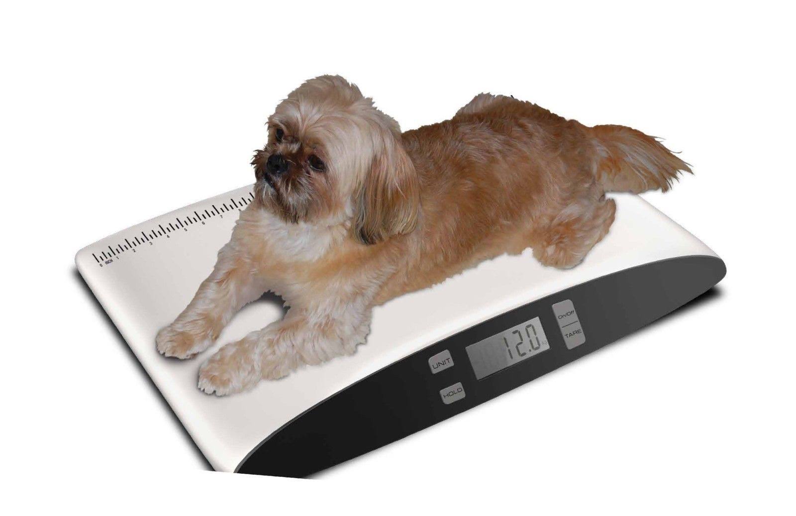 Redmon Precision Small Pet Digital Scale