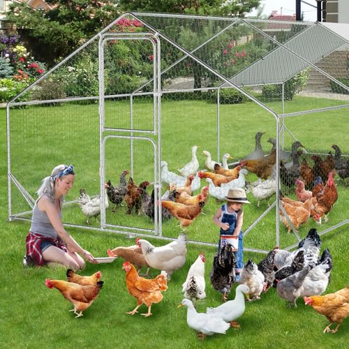 Large Metal Chicken Coop, Walk-in Poultry Cage