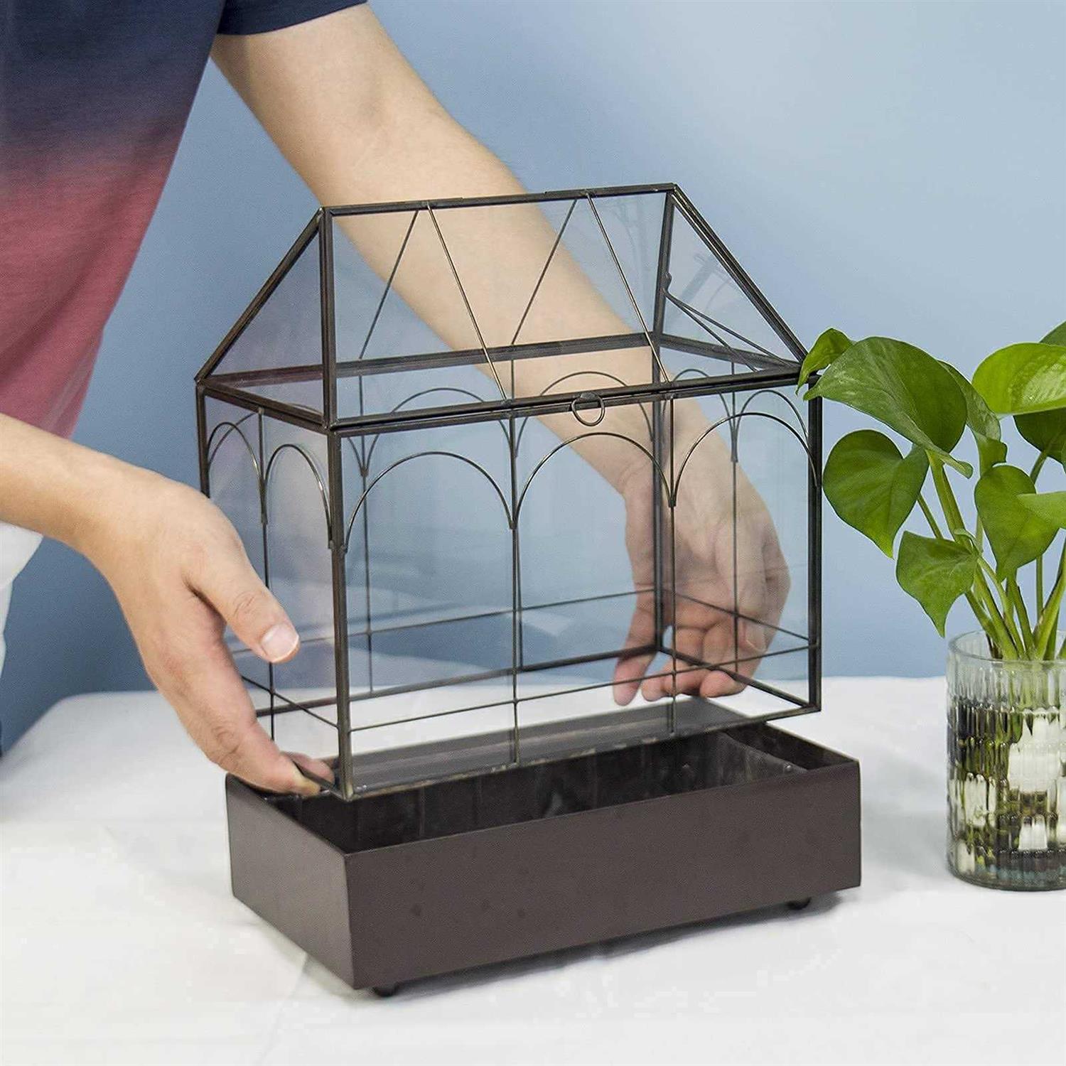 YIMORENcE V Large Tall glass Plant Terrarium – House Succulent Terrarium Kit with Lip and Tray - Pet Supplies online store