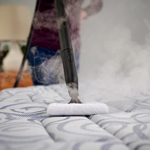 Wagner Spraytech 0282014 915e On-Demand Steam Cleaner & Wallpaper Removal, Multipurpose Power Steamer