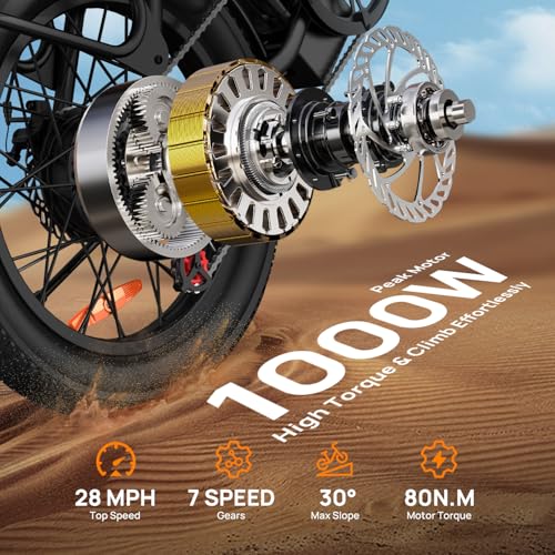 URLIFE Electric Bike for Adults, 1000W Peak Motor Ebike, 48V 13Ah Removable Battery, 28MPH,80 Miles Max