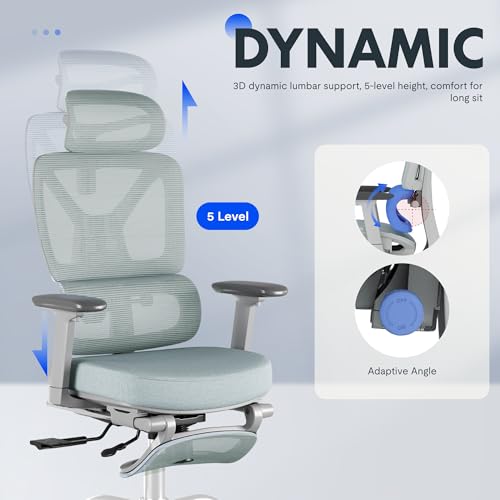 FLEXISPOT ErgoX Premium Ergonomic Office Chair with Footrest- Adjustable 3D Armrests, Dynamic Lumbar Support, Recline & Tilt Function, Mesh Seat