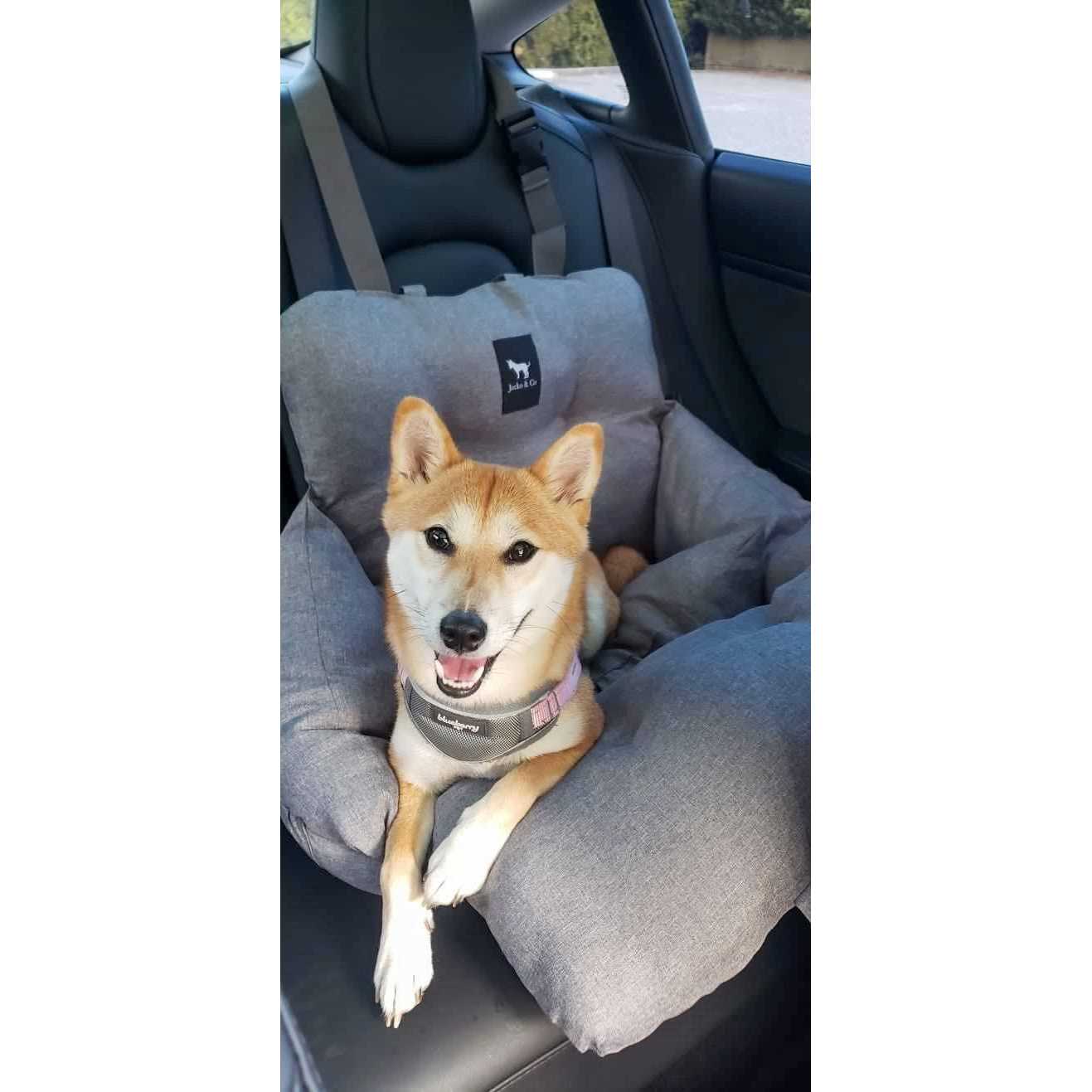 JACKO &amp; CO Premium Dog Car Seat &amp; Booster Seat for Small &amp; Medium Pets Under 35lbs - Pet Supplies online store