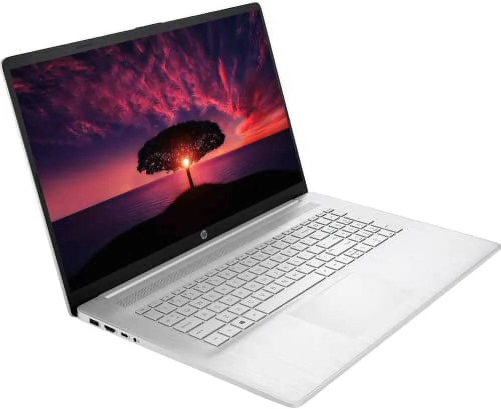 HP 17.3" HD Touchscreen Business Laptop, AMD Ryzen 5-5500U, Windows 11 Pro, 16GB RAM, 512GB SSD+1TB HDD, Numeric Keypad, HDMI, Wi-Fi, Bluetooth