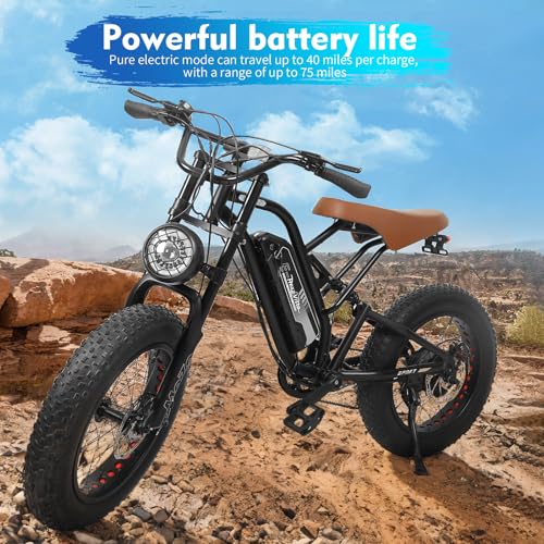 Electric Bike for Adults 48V/20AH Battery 1500W Motor, 20" Fat Tire Ebike for Mountains, Snow, Sand