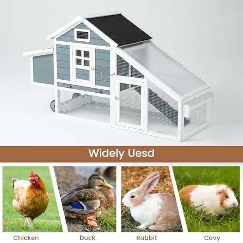 TAKUKA Outdoor Rabbit Hutch, Small Animal Wooden Chicken Coop with Nest Box
