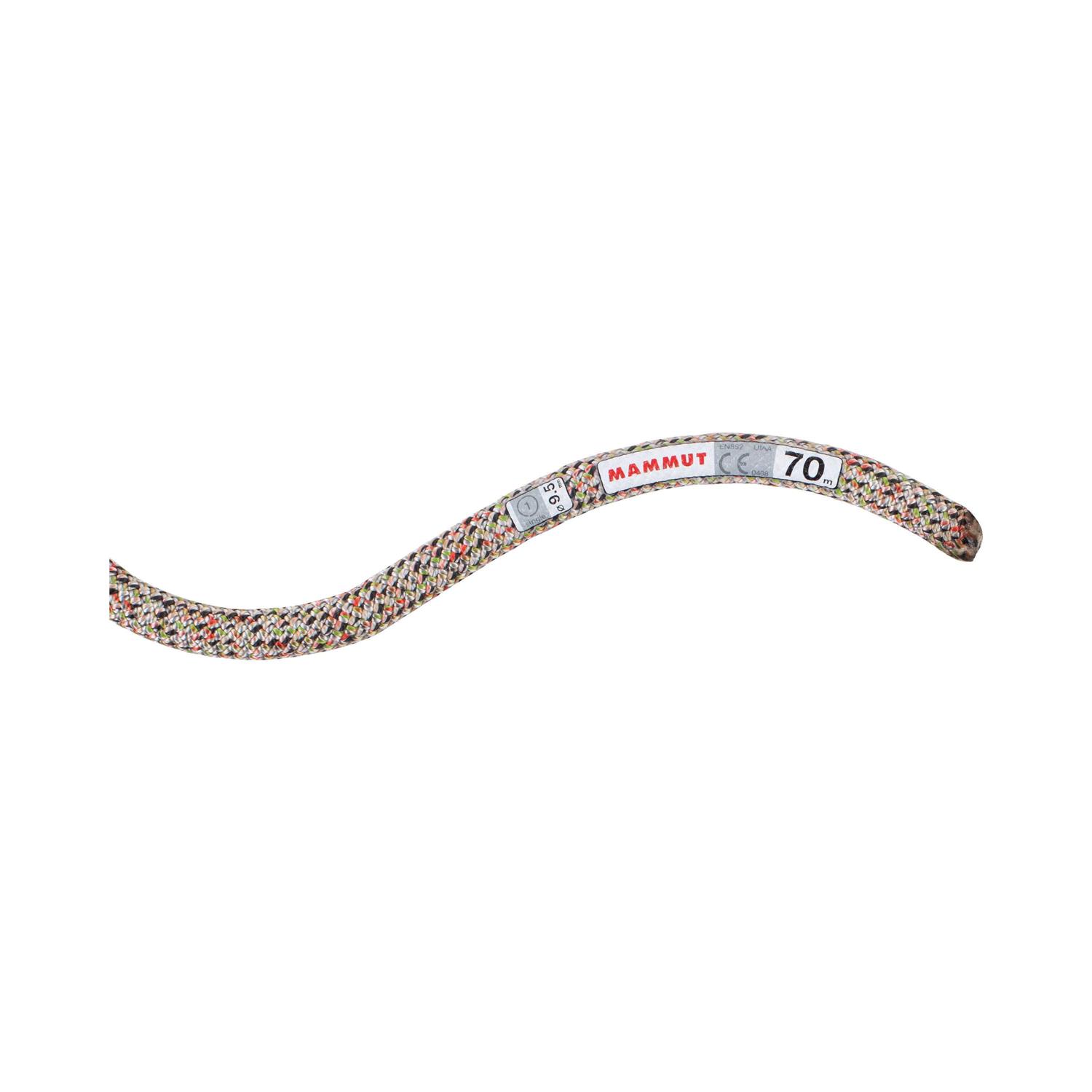 Mammut 9.5 Crag We Care Classic Rope - Sports Supplies Online Store