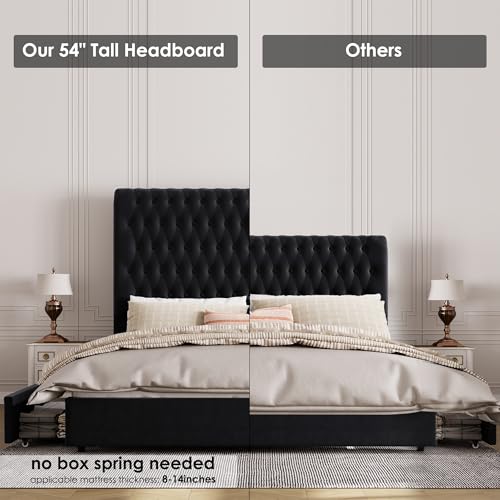 King Size Bed Frame 54" Tall Headboard with Gorgeous Button Tufted and Nail, Velvet Fabric Upholstered Bed Frame includes 4 Under-bed Storage Drawers