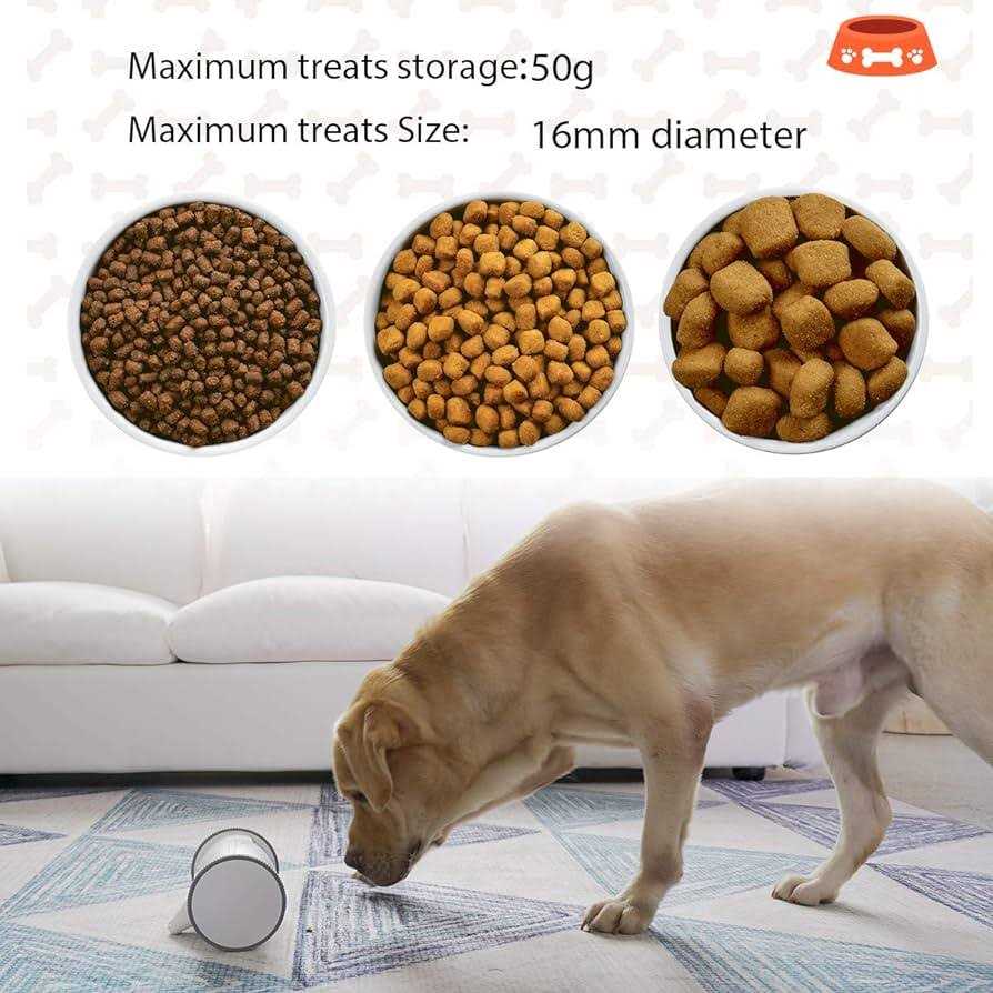SKYMEE Owl Robot Movable Full HD Pet Camera with Treat Dispenser, Interactive Toy for Dogs and Cats - Pet Supplies online store