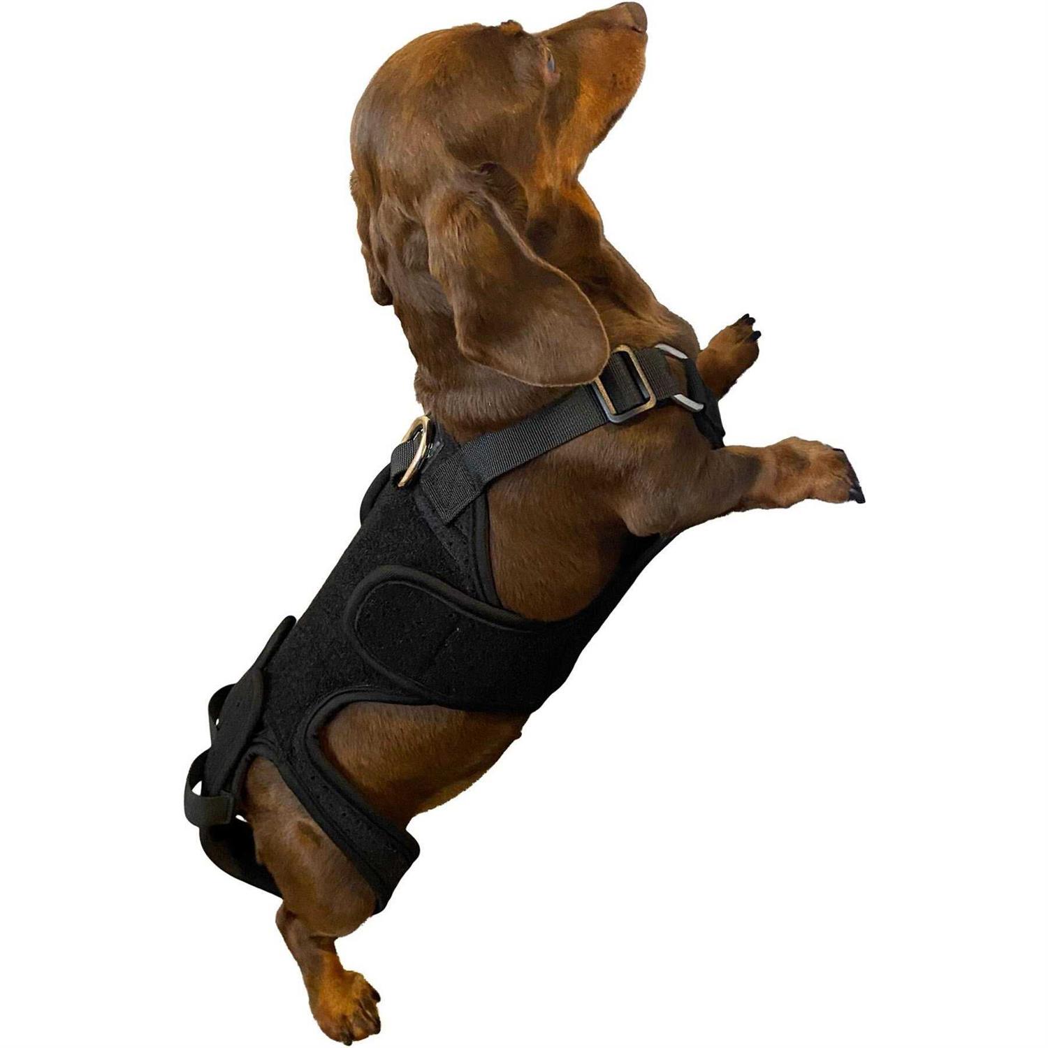 Labra Dog Canine K9 Back Brace IVDD Spine Pain &amp; Spinal Injury - Pet Supplies online store