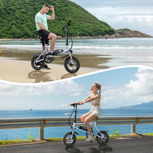 Winado Electric Bike for Adults, 14" Folding Electric Bicycle 450W Motor with Dual Disc Brakes, Max Range 25Miles(Pedal-Assist) & Speed 15.5MPH