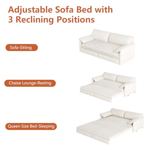 66-Inch Queen Size Convertible Sleeper Sofa Bed, 3-in-1 Pull-Out Futon Loveseat, Velvet Love Seat Couch with Side Pocket for Living Room, Office