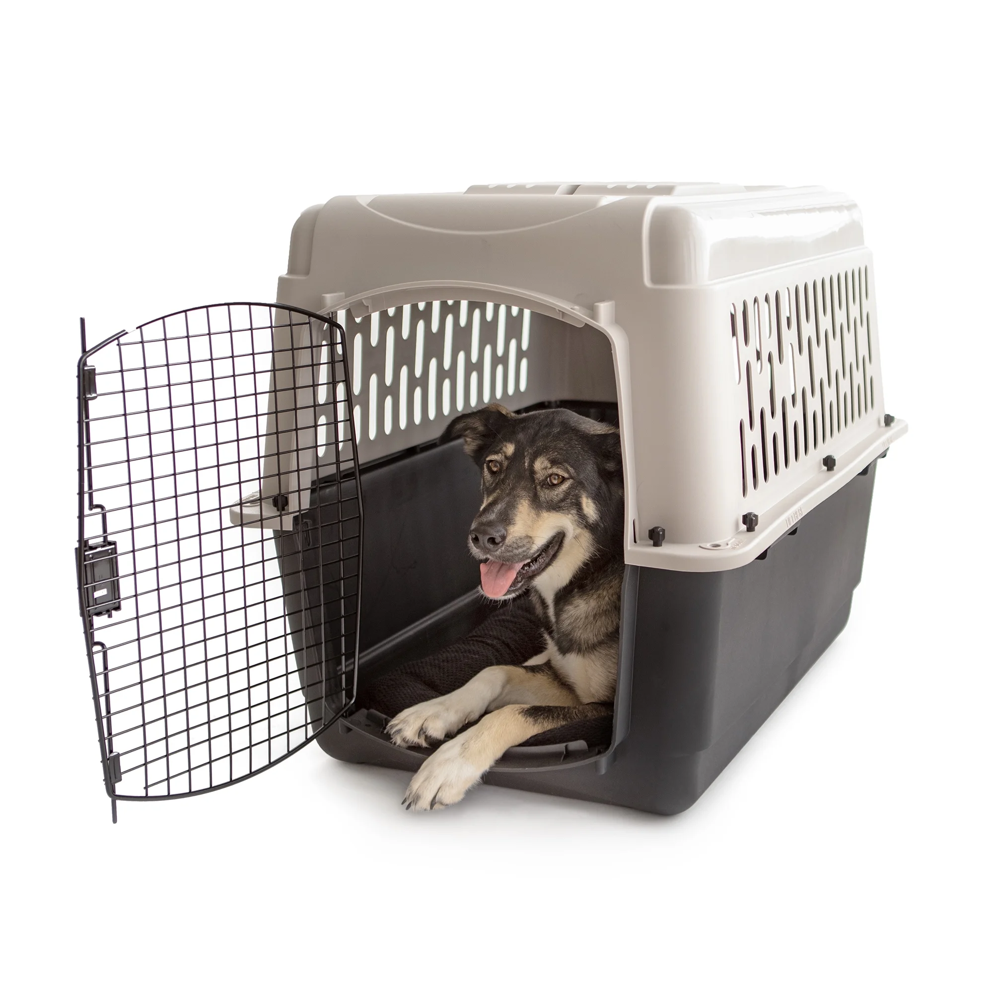 Vibrant Life Pet Kennel 19 X-Small Plastic Dog Crate Portable Carrier for Pets Up To 10 lbs