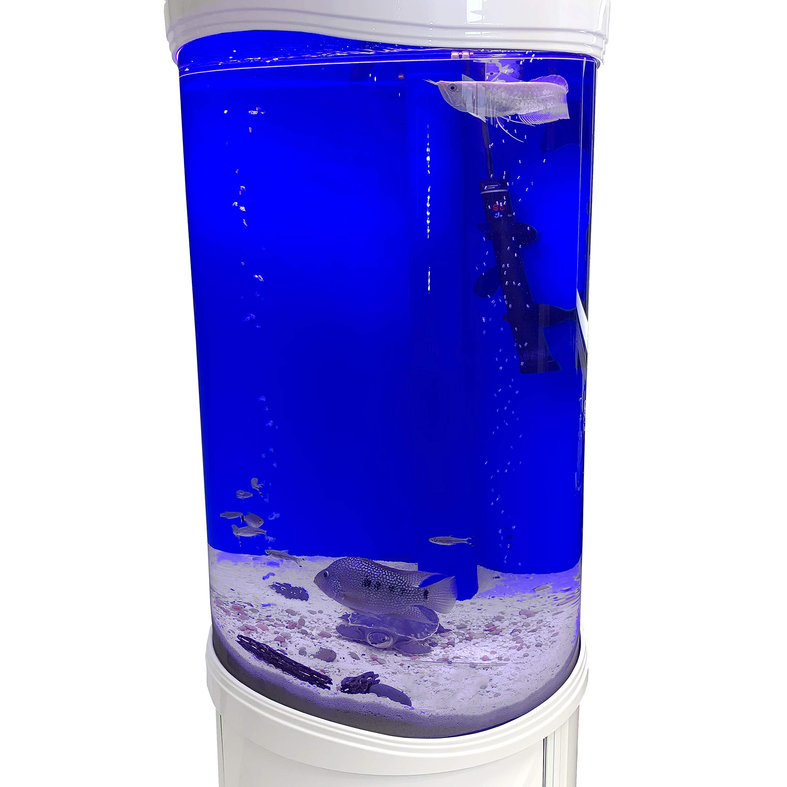 【Furniture】Aqualic 360 Acrylic Aquarium Cylinder Fish Tank 70 Gallons w/ LED Light & Sump Tank