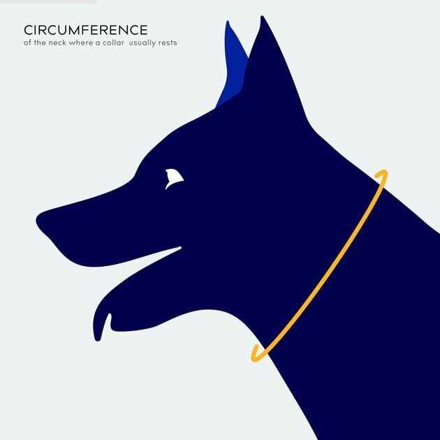Balto Dog Cone Alternative E-Collar - Pet Supplies online store