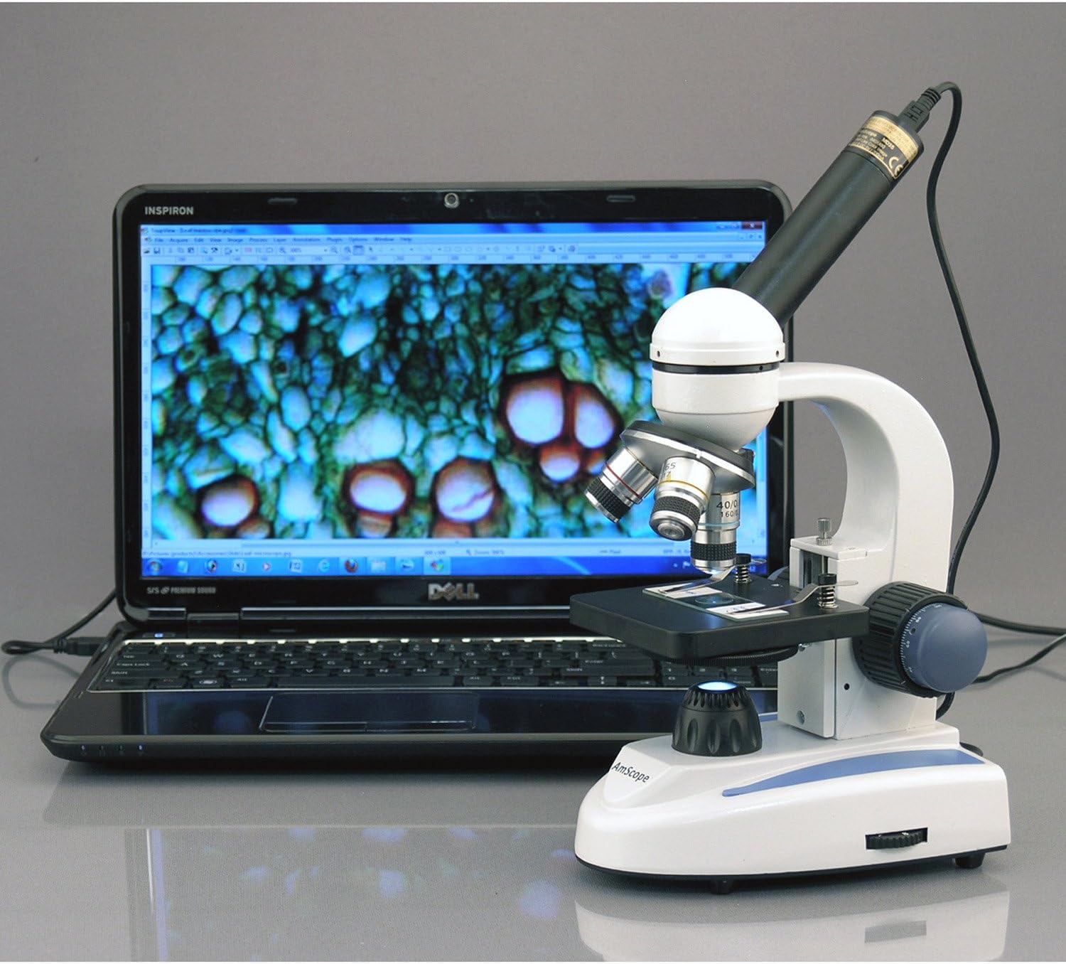 AmScope - MD35A MD35 New Microscope Imager Digital USB Camera, Compatible with Windows XP/Vista/7/8/10