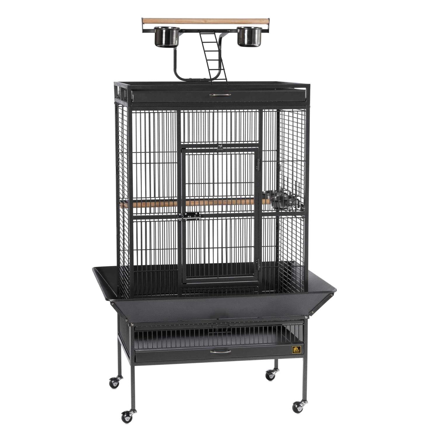 Prevue Select Wrought Iron Bird Cage - Pet Supplies online store