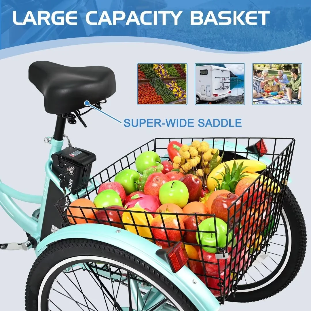 NAIZEA 24 3 Wheel Electric Bike for Senior, 350w Adults Electric Trike, Three Wheel Ebike Bicycle with Removable 36V 10Ah Lithium Battery