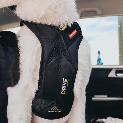 EzyDog Drive Dog Car Harness - Pet Supplies online store