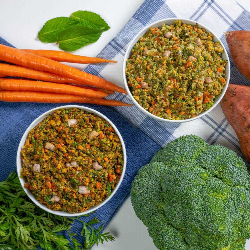 Dr. Harvey's Specialty Diet Allergy Salmon Recipe, Human Grade Dog Food for Dogs with Sensitivities and Allergies - Pet Supplies online store