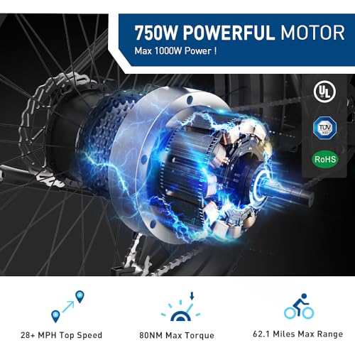 Hiboy Electric Bike for Adults, 28MPH 62.1Miles Range 1000W Peak Motor 48V 13Ah Removable Battery Ebike, 26“ x 4.0” Fat Tire Electric Bicycle
