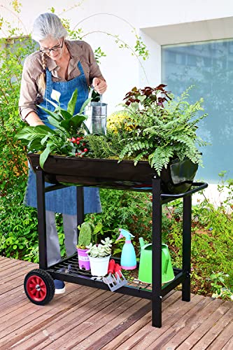 Aveyas Metal Raised Planter Box on Wheels with Gardening Kit, Elevated, Mobile Garden Bed Cart with Legs -Compatible with Indoor & Outdoor Patio