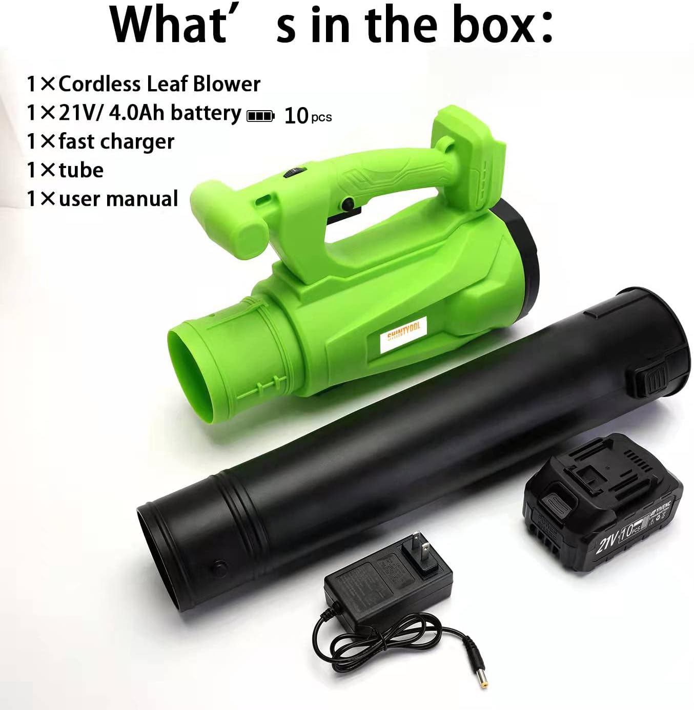 Cordless Leaf Blower, 6-Speed