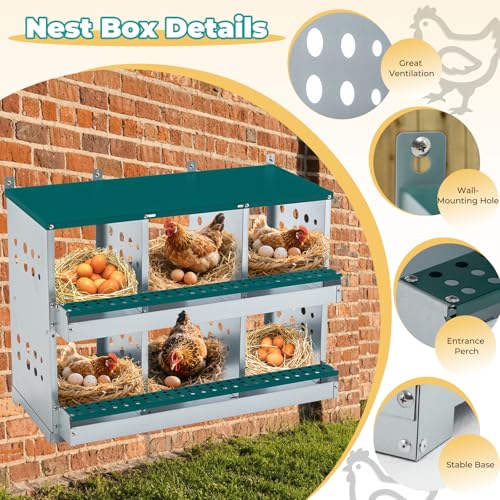 Chicken Coop Nesting Boxes, Wall Mountable Metal Chicken Nesting Box, Easy Egg Collection Roll Away Nesting Boxes Chicken