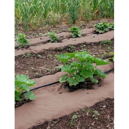 Gardener's Supply Company Weedguard Plus Paper Mulch, 50, Organic and Safe- A Natural Alternative to Plastic or weed-killing Her