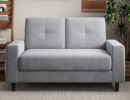 Txtin's Loveseat Sofa 53" Small Couches for Small Spaces 2 Seater Mini Couch for Bedroom Comfy Modern Love Seat for Apartment Office Living Room Brown