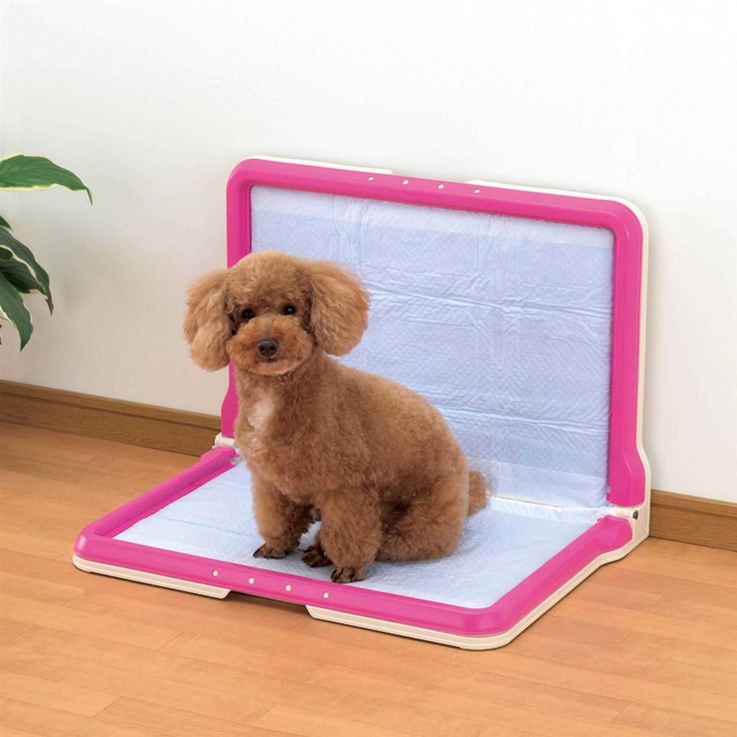 Richell PAW Trax High Wall Potty Pad Tray - Pet Supplies online store