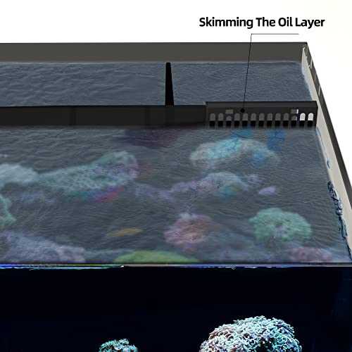 Landen 60P 26.23 Gallon Ultra Clear All Glass Rimless Low Iron Aquarium Tank with Rear Filtration Chamber for Salt and Fresh (Return Pump Included)