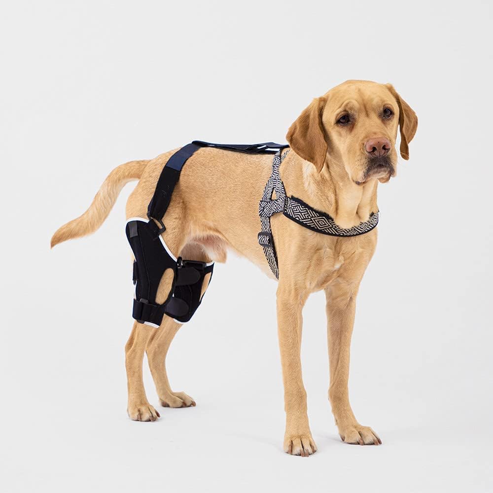 Poveo hinged Dog Knee Brace with Patella Tracker - Neoprene Canine Stifle Support for Dogs with Flexible Support, Torn ACL, Patella Luxation