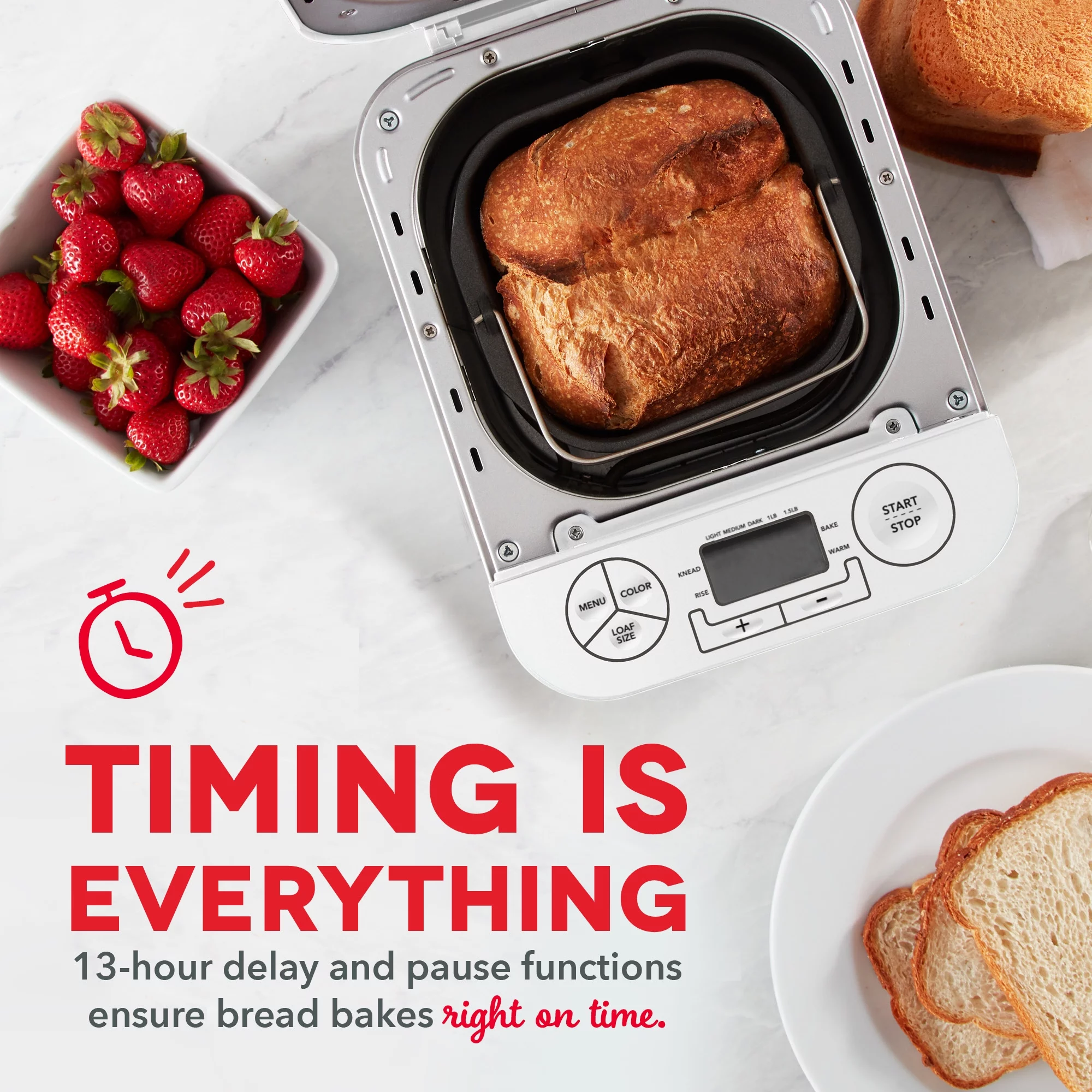 Dash Everyday Stainless Steel Bread Maker Up to 1.5lb Loaf, Programmable, 12 Settings + Gluten Free & Automatic Filling Dispenser