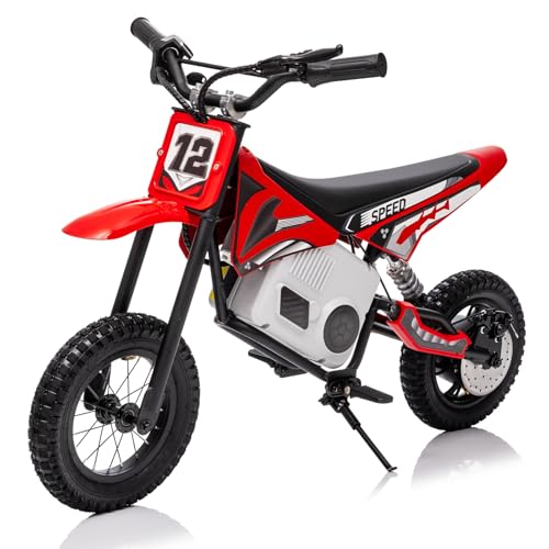 KerryYoo 36V 350W C11 Electric Dirt Bike for Kids 8-14, Up to 16MPH Off-Road Electric Motorcycle with Explosion-Proof Tires, Twist Grip Throttle